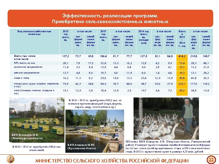 Эффективность реализации программ. Приобретено сельскохозяйственных животных Вид сельскохозяйственных животных 2012 год всего, ед. в