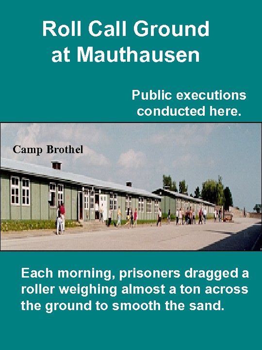 Roll Call Ground at Mauthausen Public executions conducted here. Camp Brothel Each morning, prisoners