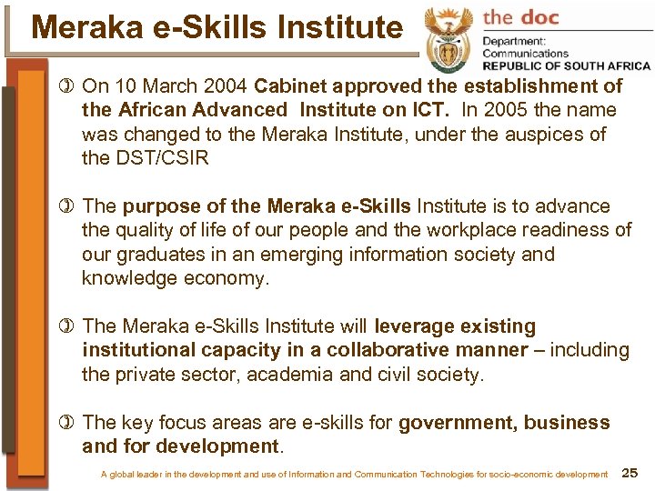 Meraka e-Skills Institute ) On 10 March 2004 Cabinet approved the establishment of the
