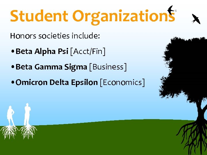 Student Organizations Honors societies include: • Beta Alpha Psi [Acct/Fin] • Beta Gamma Sigma