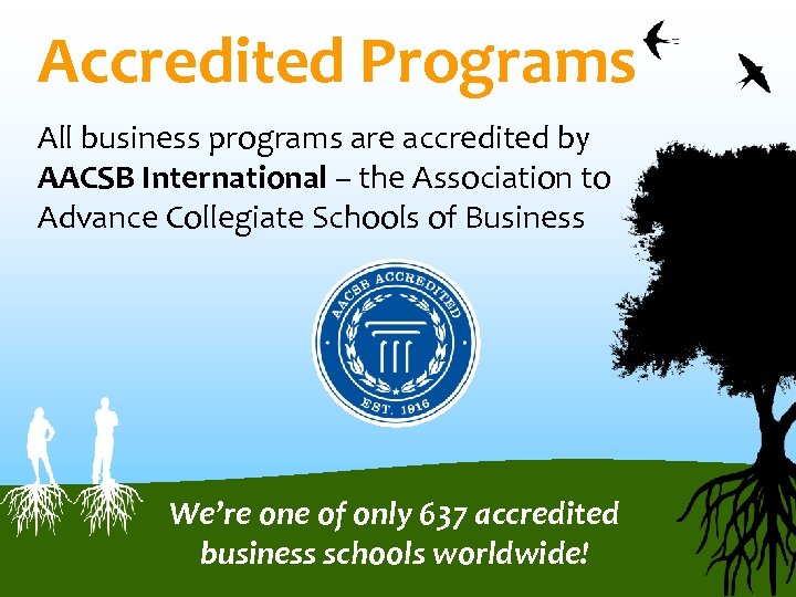 Accredited Programs All business programs are accredited by AACSB International – the Association to