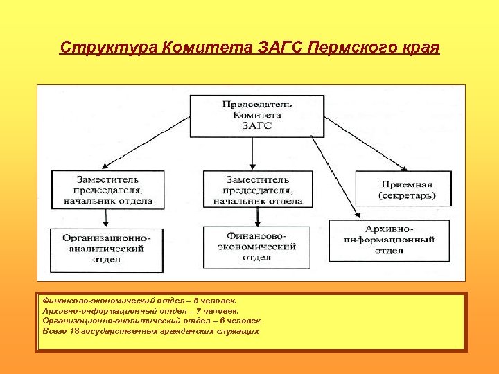 Структура загса схема