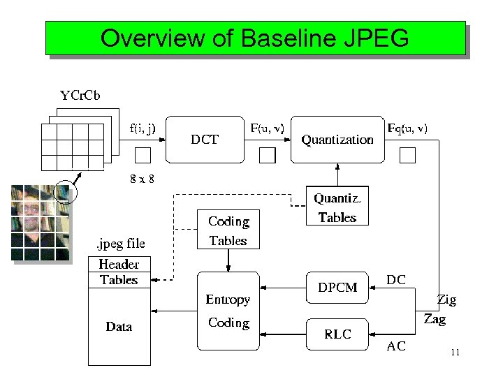 Overview of Baseline JPEG YCr. Cb . jpeg file 11 