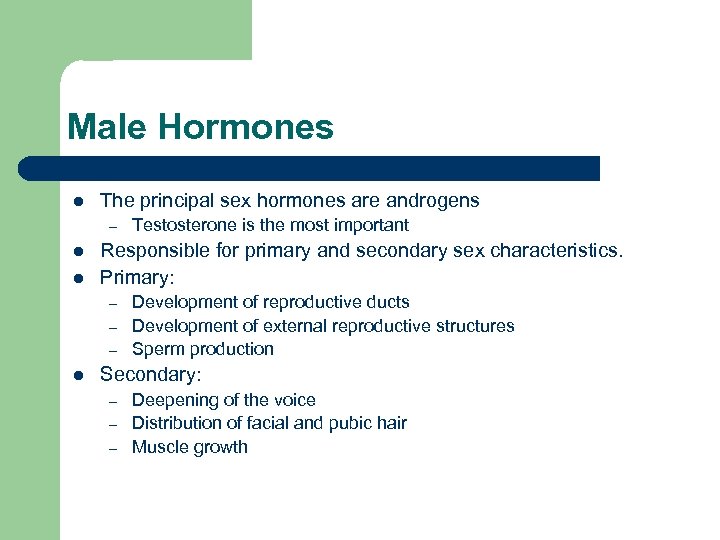 Male Hormones l The principal sex hormones are androgens – l l Responsible for