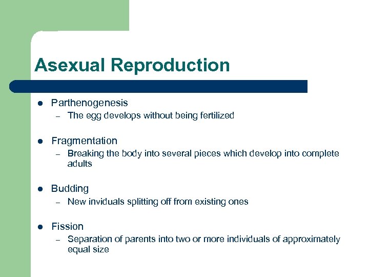 Asexual Reproduction l Parthenogenesis – l Fragmentation – l Breaking the body into several