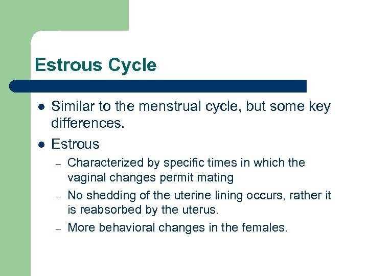 Estrous Cycle l l Similar to the menstrual cycle, but some key differences. Estrous