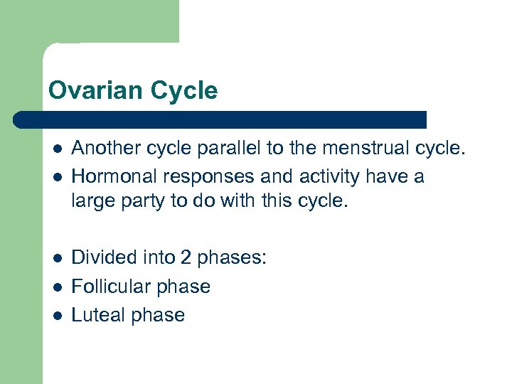 Ovarian Cycle l l l Another cycle parallel to the menstrual cycle. Hormonal responses