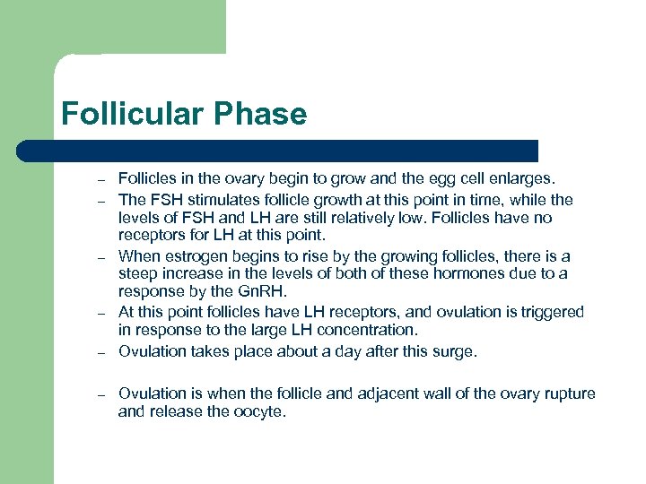 Follicular Phase – – – Follicles in the ovary begin to grow and the