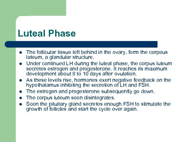 Luteal Phase l l l The follicular tissue left behind in the ovary, form