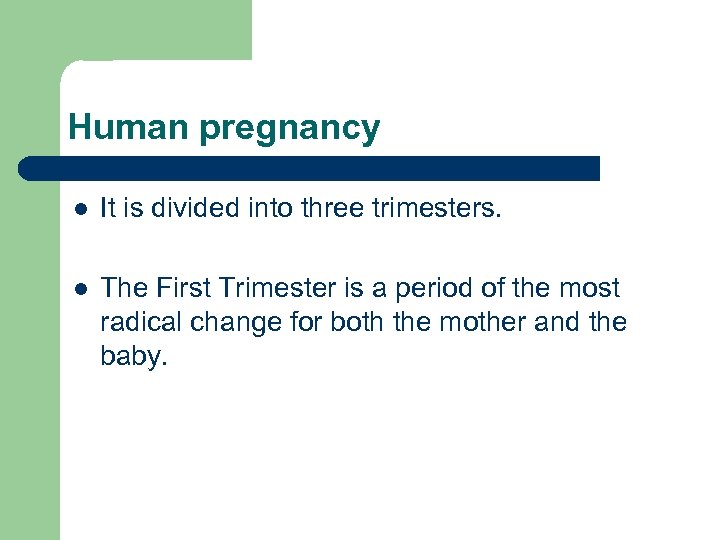 Human pregnancy l It is divided into three trimesters. l The First Trimester is