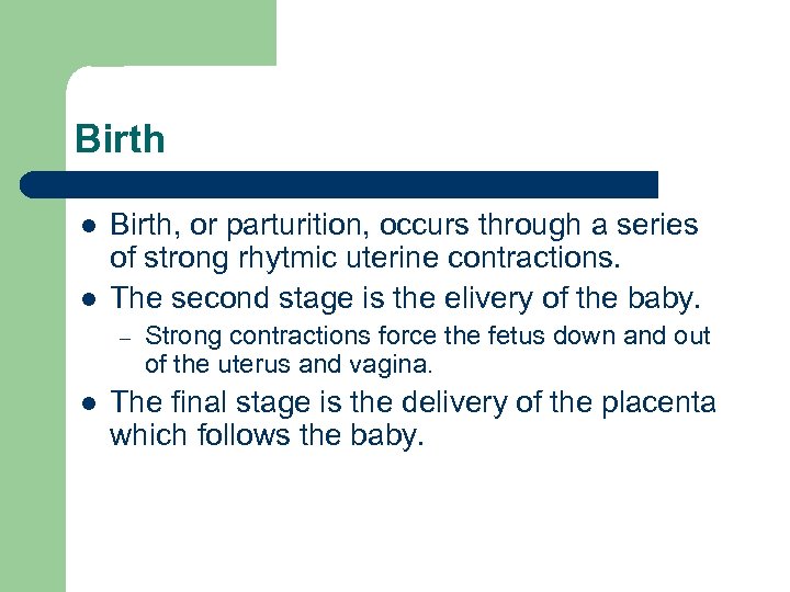 Birth l l Birth, or parturition, occurs through a series of strong rhytmic uterine