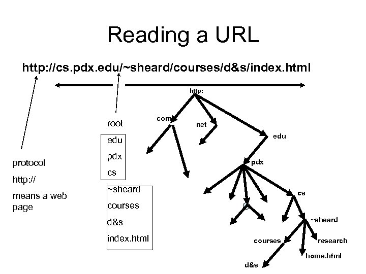 Reading a URL http: //cs. pdx. edu/~sheard/courses/d&s/index. html http: root com net edu protocol