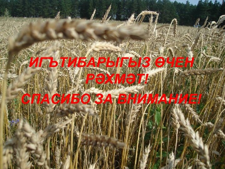 ИГЪТИБАРЫГЫЗ ӨЧЕН РӘХМӘТ! СПАСИБО ЗА ВНИМАНИЕ! 