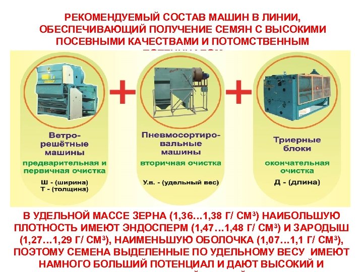 РЕКОМЕНДУЕМЫЙ СОСТАВ МАШИН В ЛИНИИ, ОБЕСПЕЧИВАЮЩИЙ ПОЛУЧЕНИЕ СЕМЯН С ВЫСОКИМИ ПОСЕВНЫМИ КАЧЕСТВАМИ И ПОТОМСТВЕННЫМ