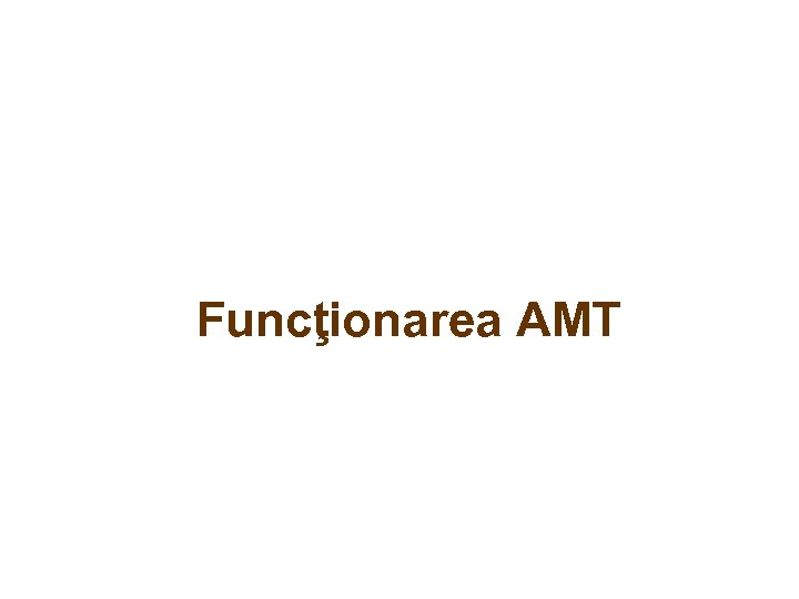 Funcţionarea AMT 