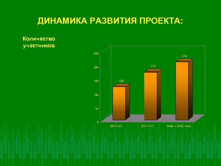 ДИНАМИКА РАЗВИТИЯ ПРОЕКТА: Количество участников 