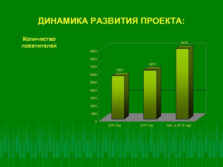 ДИНАМИКА РАЗВИТИЯ ПРОЕКТА: Количество посетителей 