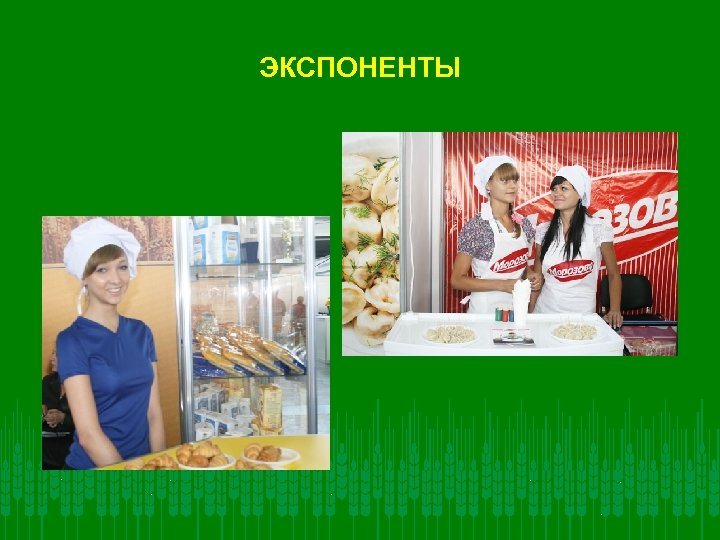ЭКСПОНЕНТЫ 