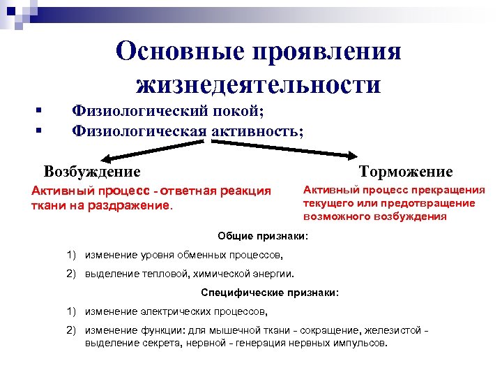 Основные проявления жизнедеятельности § § Физиологический покой; Физиологическая активность; Возбуждение Торможение Активный процесс -