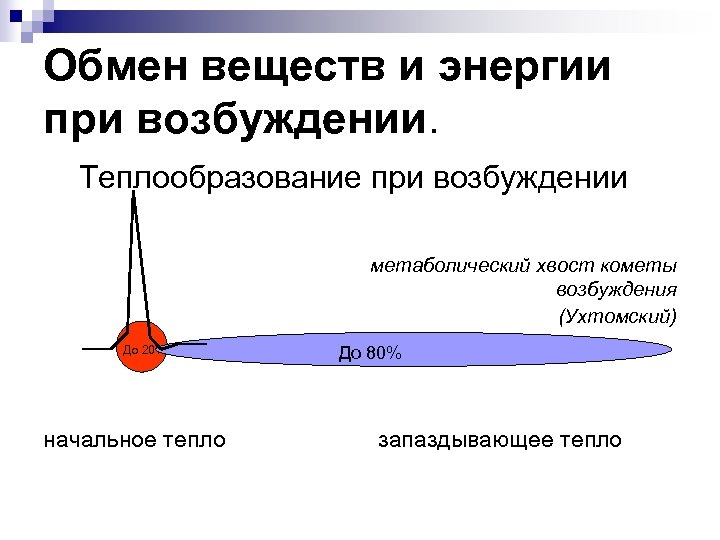 Обмен веществ и энергии при возбуждении. Теплообразование при возбуждении метаболический хвост кометы возбуждения (Ухтомский)