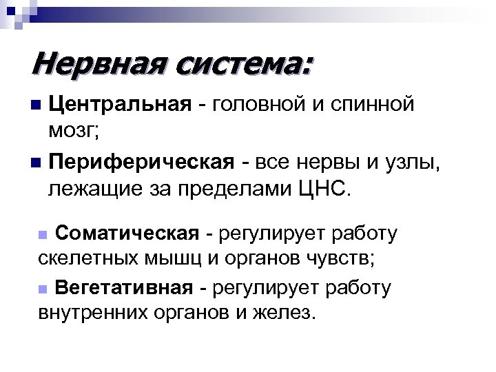 Нервная система: Центральная - головной и спинной мозг; n Периферическая - все нервы и