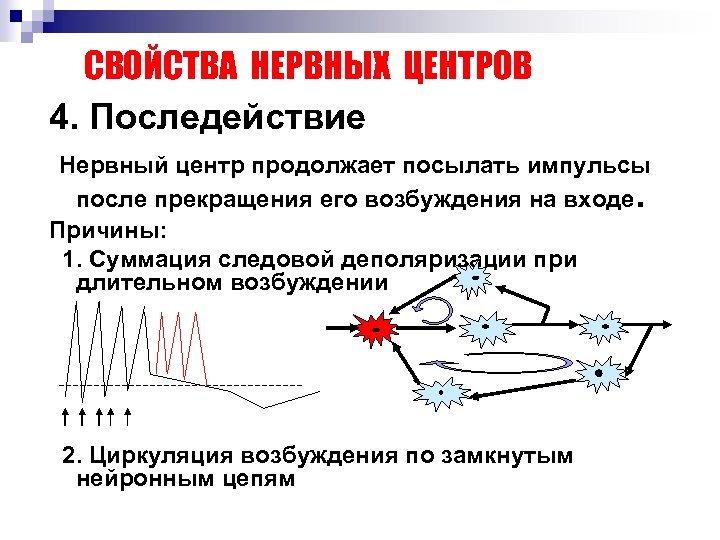 СВОЙСТВА НЕРВНЫХ ЦЕНТРОВ 4. Последействие Нервный центр продолжает посылать импульсы после прекращения его возбуждения