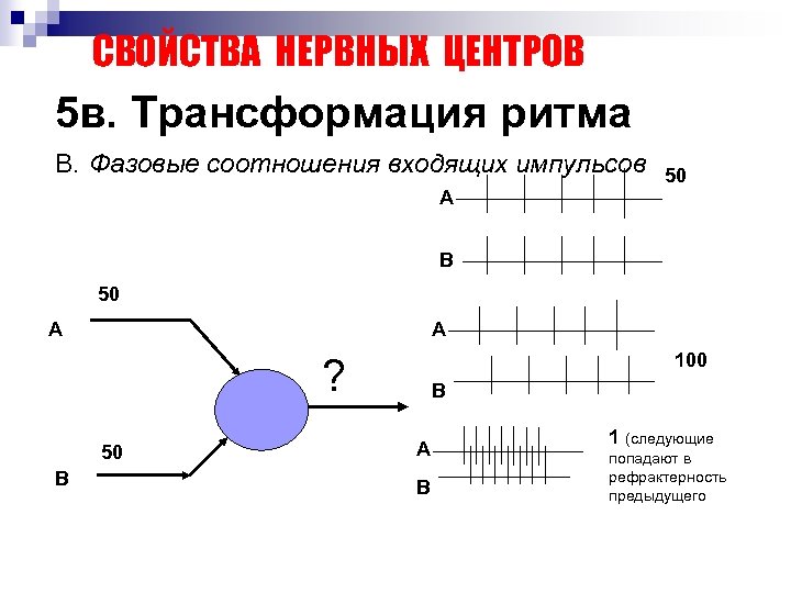 СВОЙСТВА НЕРВНЫХ ЦЕНТРОВ 5 в. Трансформация ритма В. Фазовые соотношения входящих импульсов А 50