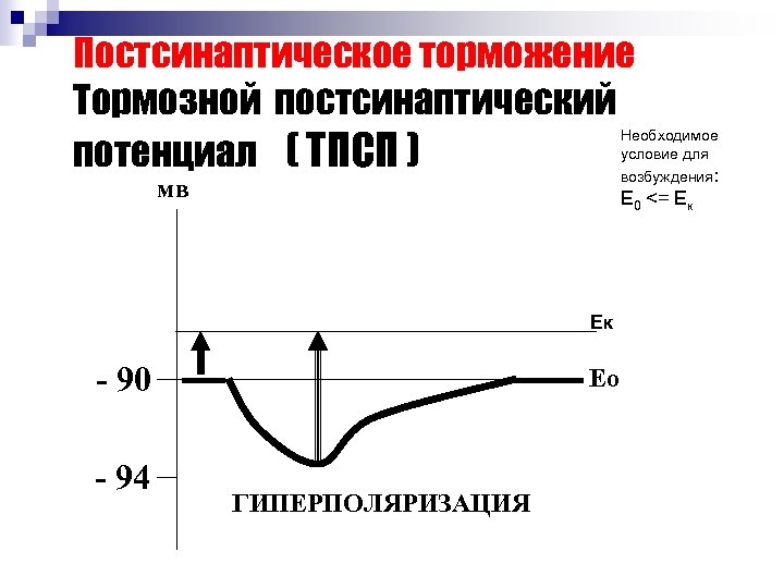 Постсинаптическое торможение Тормозной постсинаптический потенциал ( ТПСП ) Необходимое условие для возбуждения: мв Е