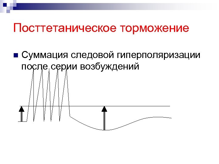Посттетаническое торможение n Суммация следовой гиперполяризации после серии возбуждений 