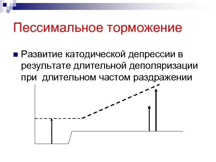 Пессимальное торможение n Развитие катодической депрессии в результате длительной деполяризации при длительном частом раздражении