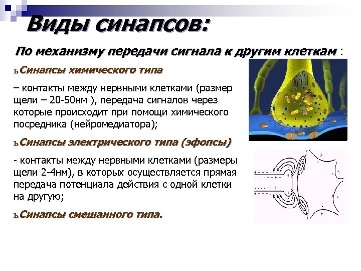 Механизм передачи химического синапса