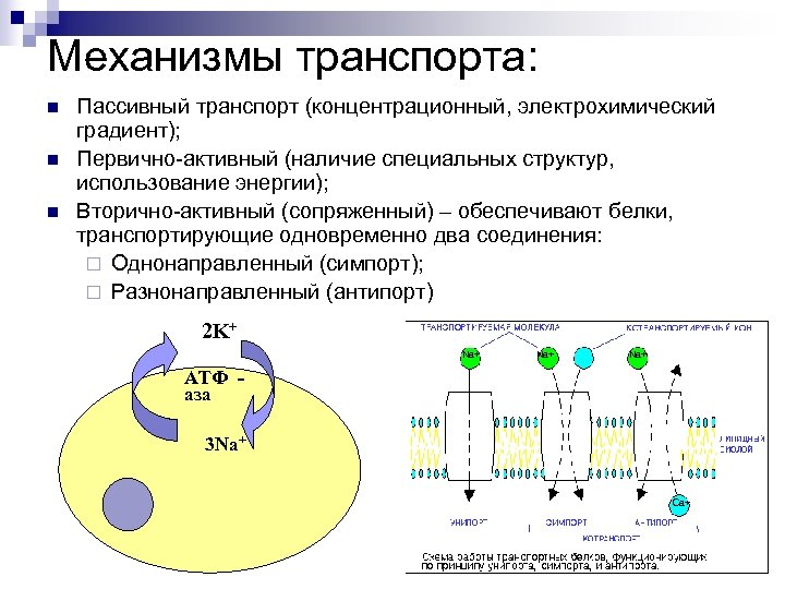 Пассивный транспорт это