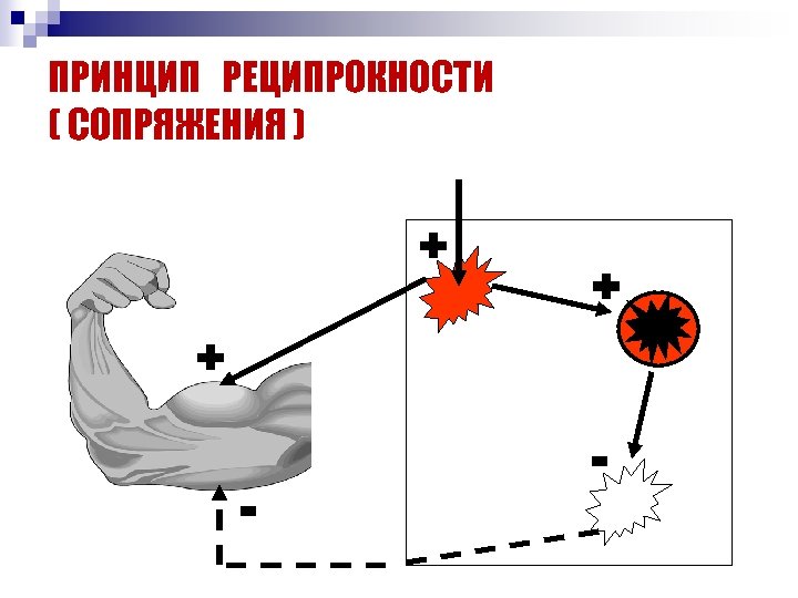 ПРИНЦИП РЕЦИПРОКНОСТИ ( СОПРЯЖЕНИЯ ) + + + - - 