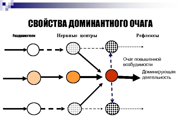 СВОЙСТВА ДОМИНАНТНОГО ОЧАГА Раздражители Нервные центры Рефлексы Очаг повышенной возбудимости Доминирующая деятельность 