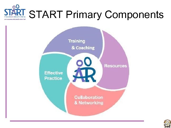 START Primary Components 