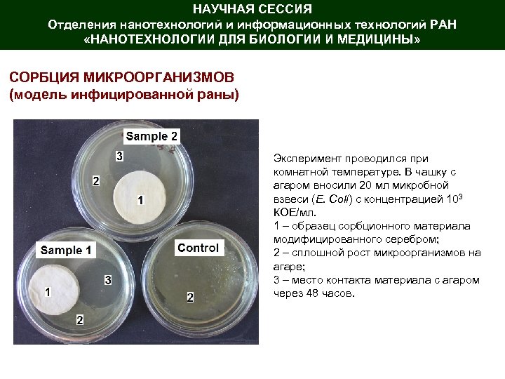 НАУЧНАЯ СЕССИЯ Отделения нанотехнологий и информационных технологий РАН «НАНОТЕХНОЛОГИИ ДЛЯ БИОЛОГИИ И МЕДИЦИНЫ» СОРБЦИЯ