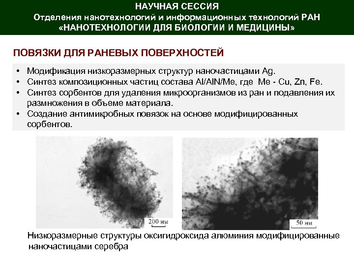 НАУЧНАЯ СЕССИЯ Отделения нанотехнологий и информационных технологий РАН «НАНОТЕХНОЛОГИИ ДЛЯ БИОЛОГИИ И МЕДИЦИНЫ» ПОВЯЗКИ