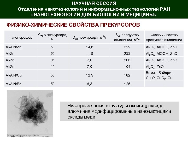 НАУЧНАЯ СЕССИЯ Отделения нанотехнологий и информационных технологий РАН «НАНОТЕХНОЛОГИИ ДЛЯ БИОЛОГИИ И МЕДИЦИНЫ» ФИЗИКО-ХИМИЧЕСКИЕ