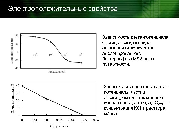 Электроположительные свойства Зависимость дзета-потенциала частиц оксигидроксида алюминия от количества адсорбированного бактериофага MS 2 на