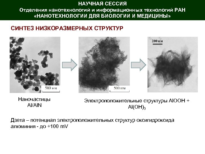 НАУЧНАЯ СЕССИЯ Отделения нанотехнологий и информационных технологий РАН «НАНОТЕХНОЛОГИИ ДЛЯ БИОЛОГИИ И МЕДИЦИНЫ» СИНТЕЗ