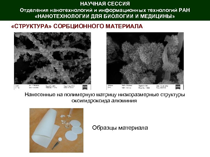 НАУЧНАЯ СЕССИЯ Отделения нанотехнологий и информационных технологий РАН «НАНОТЕХНОЛОГИИ ДЛЯ БИОЛОГИИ И МЕДИЦИНЫ» «СТРУКТУРА»