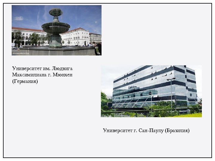 Университет им. Людвига Максимилиана г. Мюнхен (Германия) Университет г. Сан-Паулу (Бразилия) 