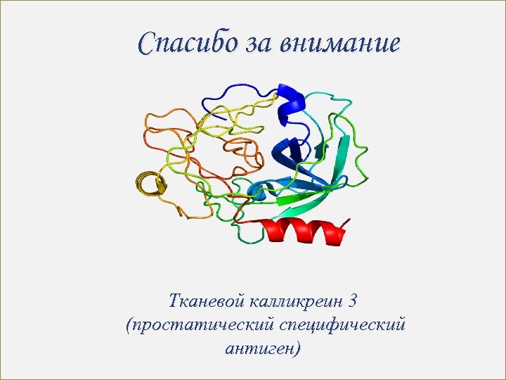 Спасибо за внимание Тканевой калликреин 3 (простатический специфический антиген) 