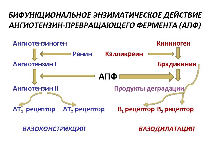 Схема раас биохимия