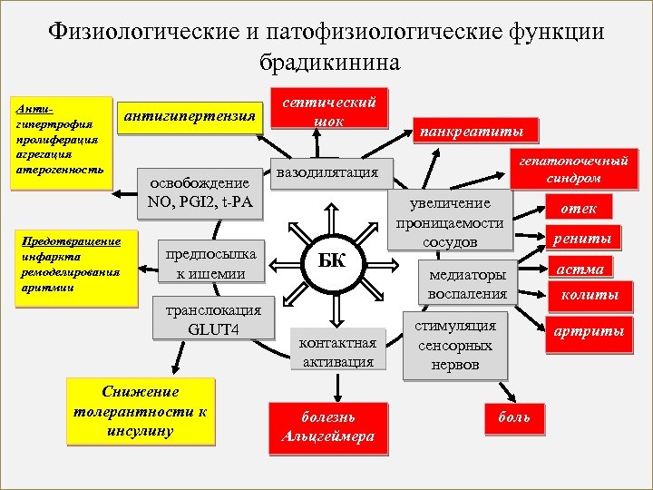 Антитела к брадикинину