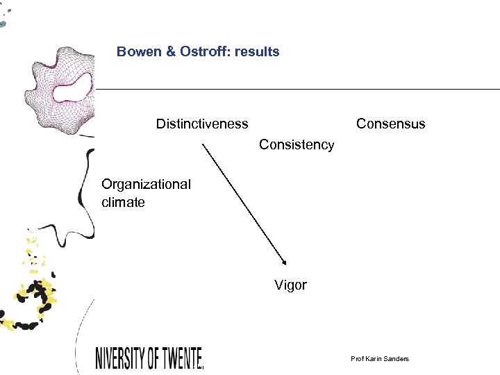 Bowen & Ostroff: results Distinctiveness Consensus Consistency Organizational climate Vigor Karin Sanders & Xiaobei