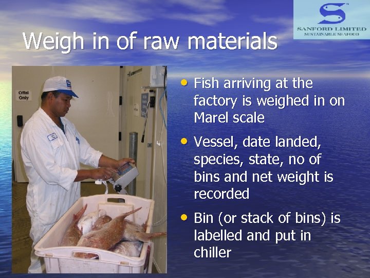 Weigh in of raw materials • Fish arriving at the factory is weighed in