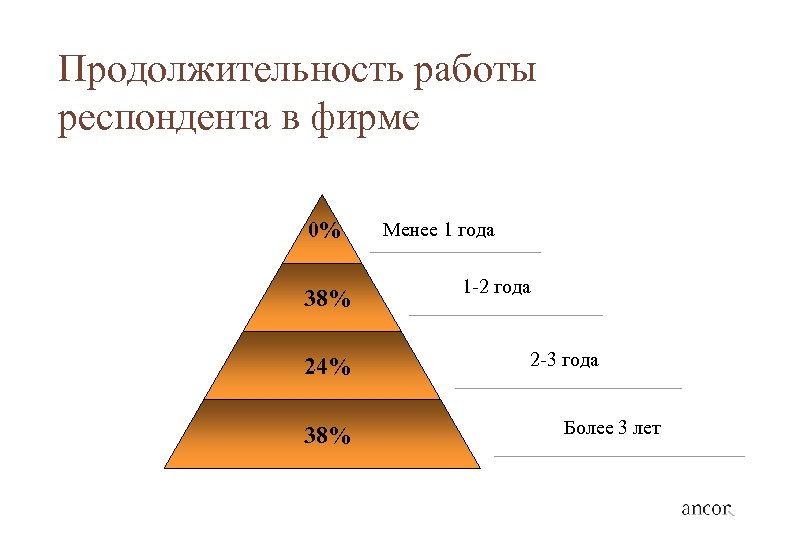 Продолжительность работы респондента в фирме 0% 38% 24% 38% Менее 1 года 1 -2