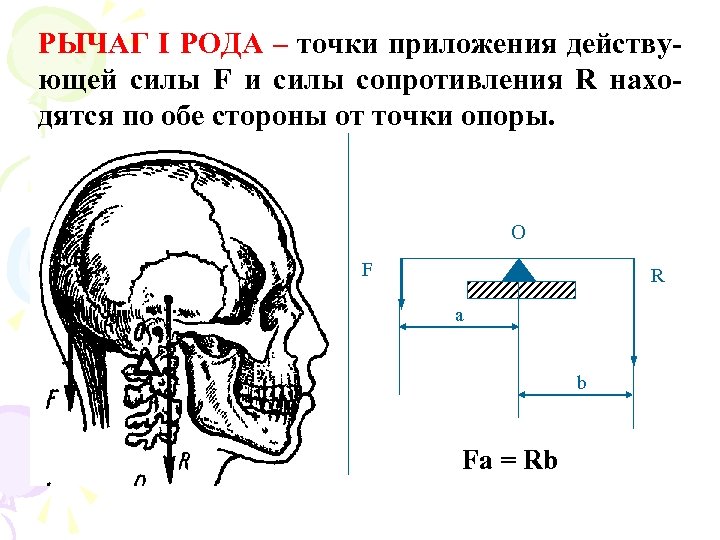 РЫЧАГ I РОДА – точки приложения действующей силы F и силы сопротивления R находятся
