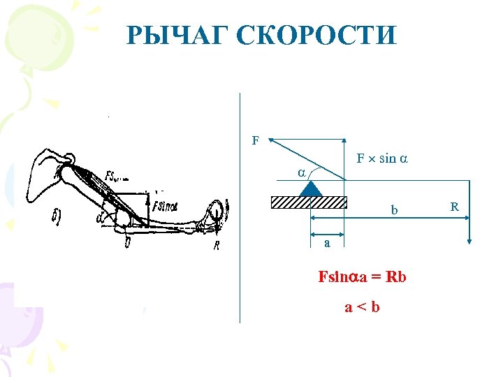РЫЧАГ СКОРОСТИ F F sin b а Fsin a = Rb a < b